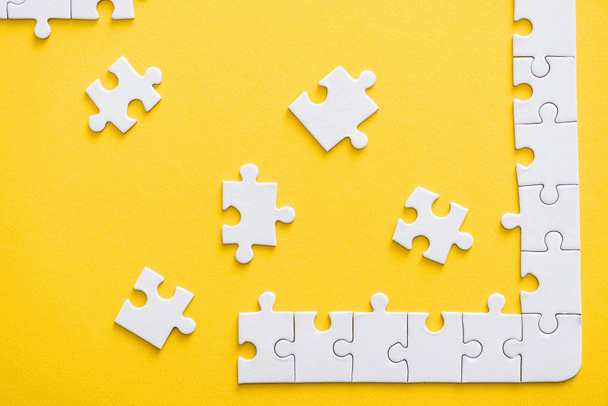 20 نکته کلیدی در تغذیه سگ پیت بول: راهنمای جامع برای صاحبان