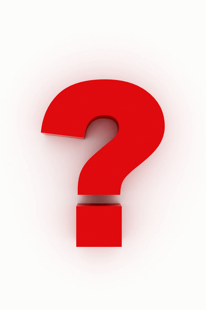 عادت دادن عروس هلندی به صاحب جدید با ۱۵ نکته کاربردی