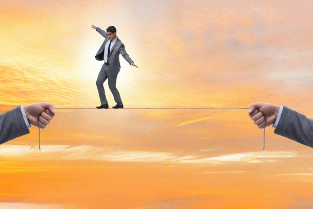 چرا باید سگ‌مون رو به آرایشگاه ببریم؟ 19 دلیل مهم